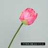 Flor de loto entreabierta [rojo rosado]