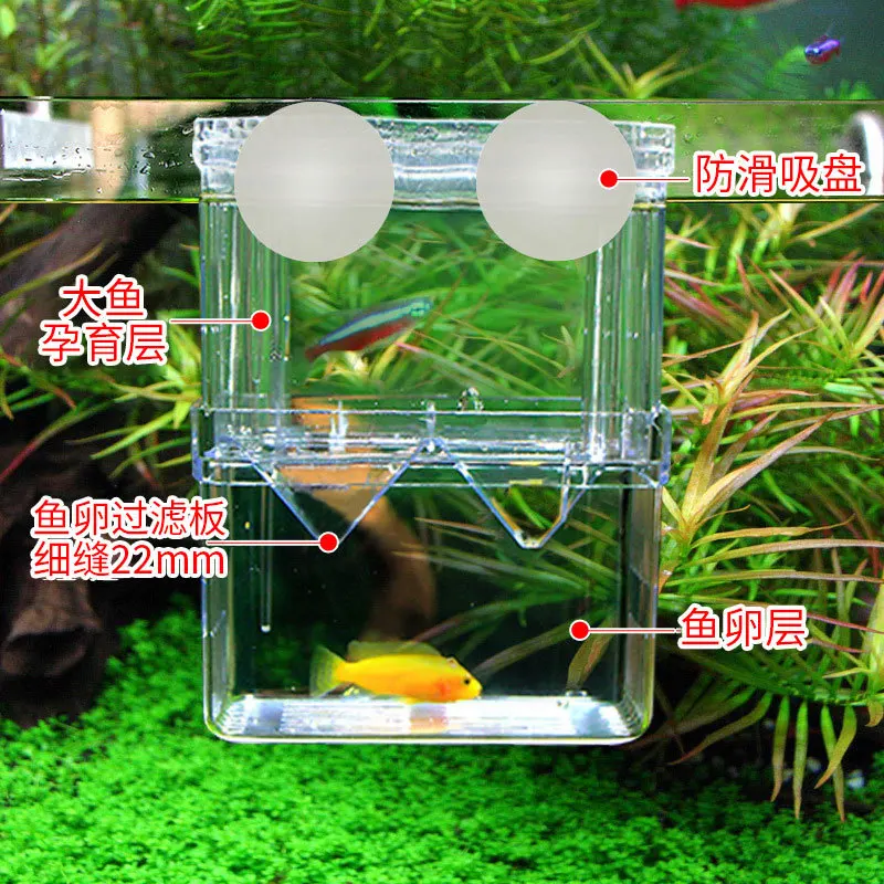 clear floating box for fish tank Aquarium Breeding Box, Acrylic Double Layer Fishes Isolation Box/Baby Fishs Hatchery/Fry Breeder Guppy,Tropical Fishes, Fish Incubator Divider with Suction Cups, L size : Pet Supplies Description Breeding Box Isolation Box Magnetic Aquarium Hatchery Incubator for Newborn Fry Shrimp Guppy Clownfish Aggressive Features Fish Breeding Box used for separating and protecting newly fish Eco-friendly Jeneca FH Clear Acrylic