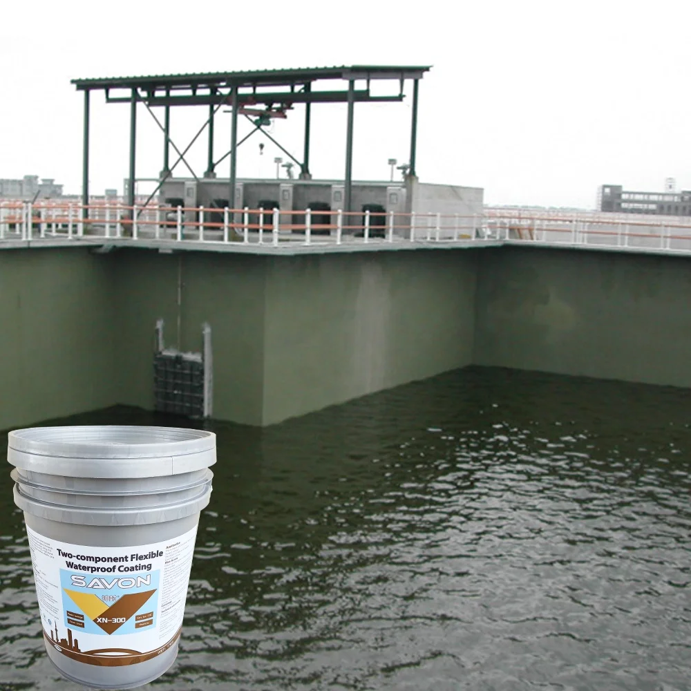XN-300 Cesspool.jpg
