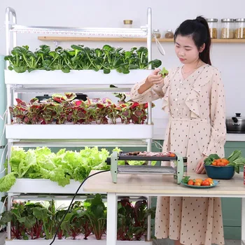 自動家庭菜園アクアポニックス水耕栽培用品、野菜栽培用完全垂直水