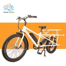 Raiderwagon-602s Full Featured Electric Cargo Bike with Optional Battery Commuters E-bikes Electric City Bike Customize 48V 15ah