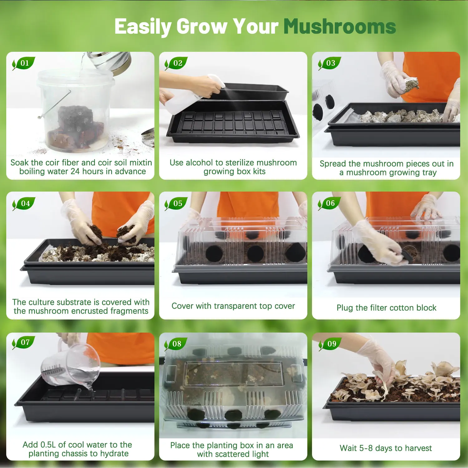 Complete Mushroom Grow Kit Box for Dung Loving Mushrooms with Filter Cotton for Plugging Holes , Seedling Planting Pad Paper