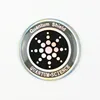 1261 Silver