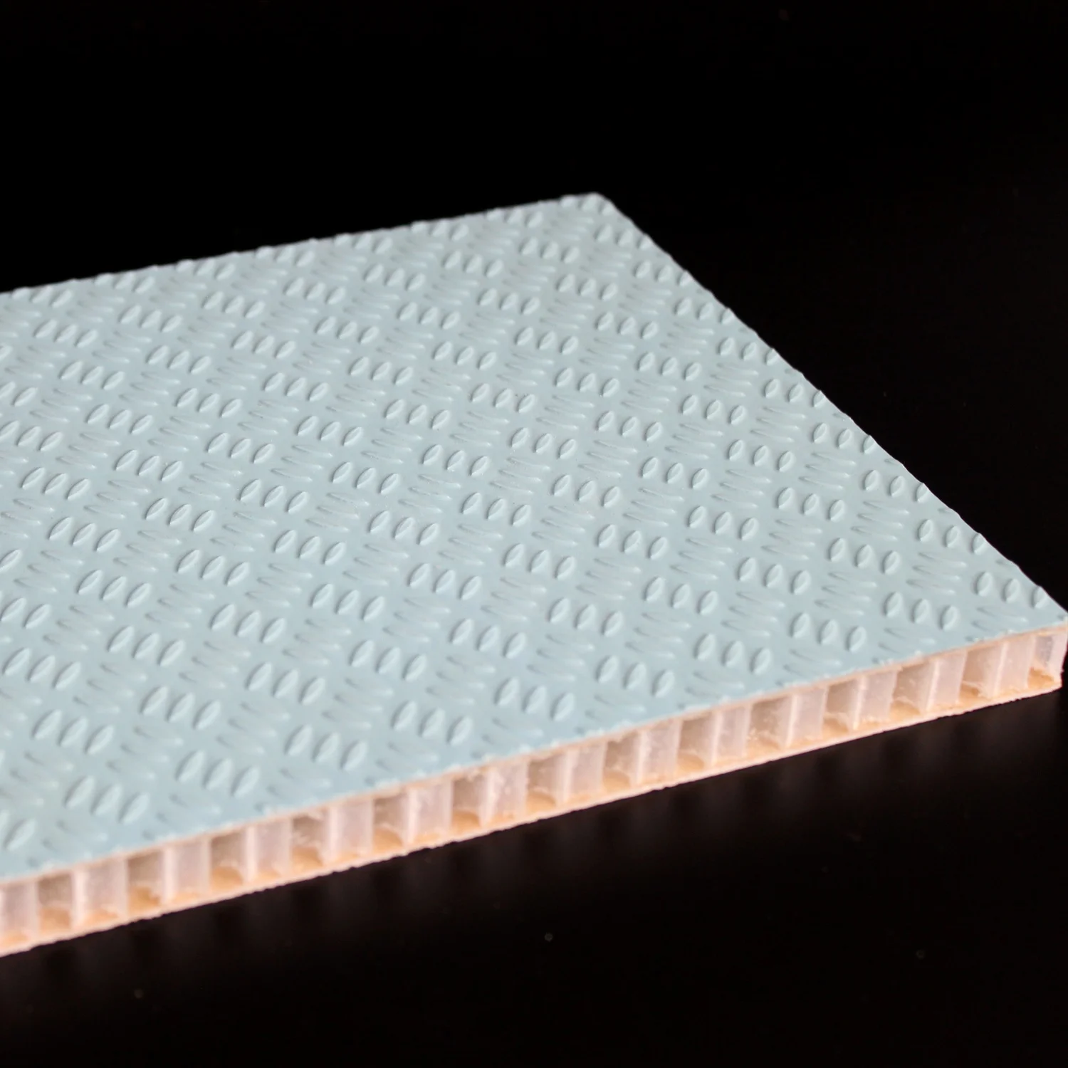 Honeycomb Polypropylene Polyester Coated Panel