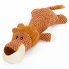 Orange lion