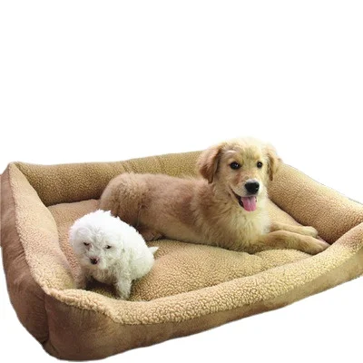 cheapest dog supplies