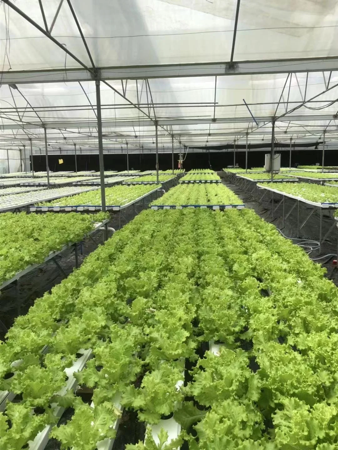 Hydroponic NFT Channel Growing System Water Circulation System Greenhouse Vertical Channel Growing Pipe Gutter NFT System