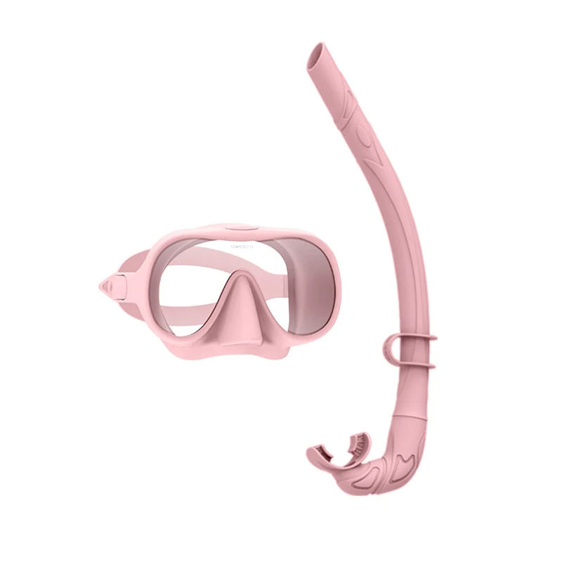 The diverse marine life awaiting snorkelers on the Great Barrier Reef.