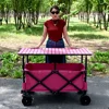 Coche de polvo con tablero de mesa de polvo de 6 polos 120