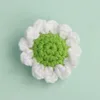 ขอบขาว แกนเขียว - หัวเดซี่