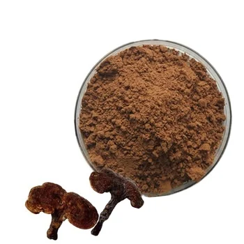 EU NOP Ganoderma Lucidum экстракт грибов, порошок экстракта Рейши