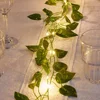 Green rattan