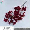 Big Horn HN Vino Tinto