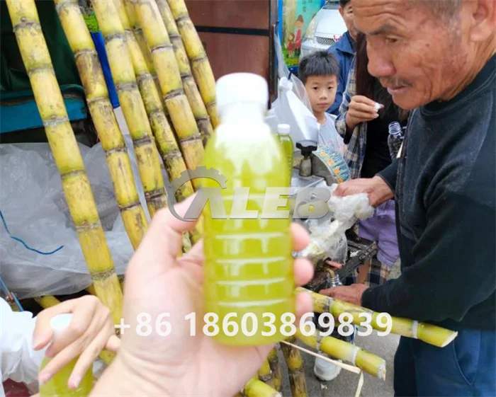 Industrial Sugarcane Pressing Juice Extractor Price Cheap Price