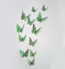 Verde02