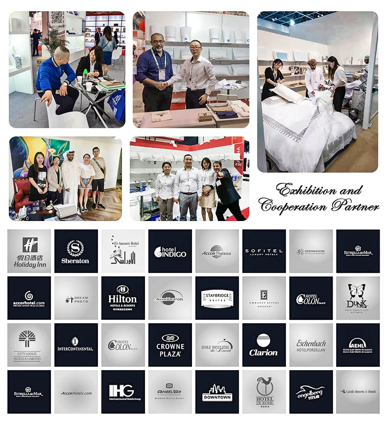 100 Pima Cotton 1000tc Machine Embroidery Bed Sheet Bedding Set Bed