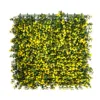 Yellow lucky grass