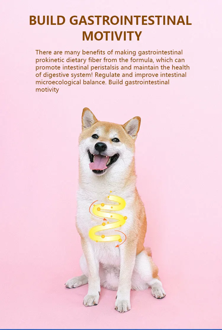 China Pet Food Oem Multitaste Multishape High Protein Content Adult