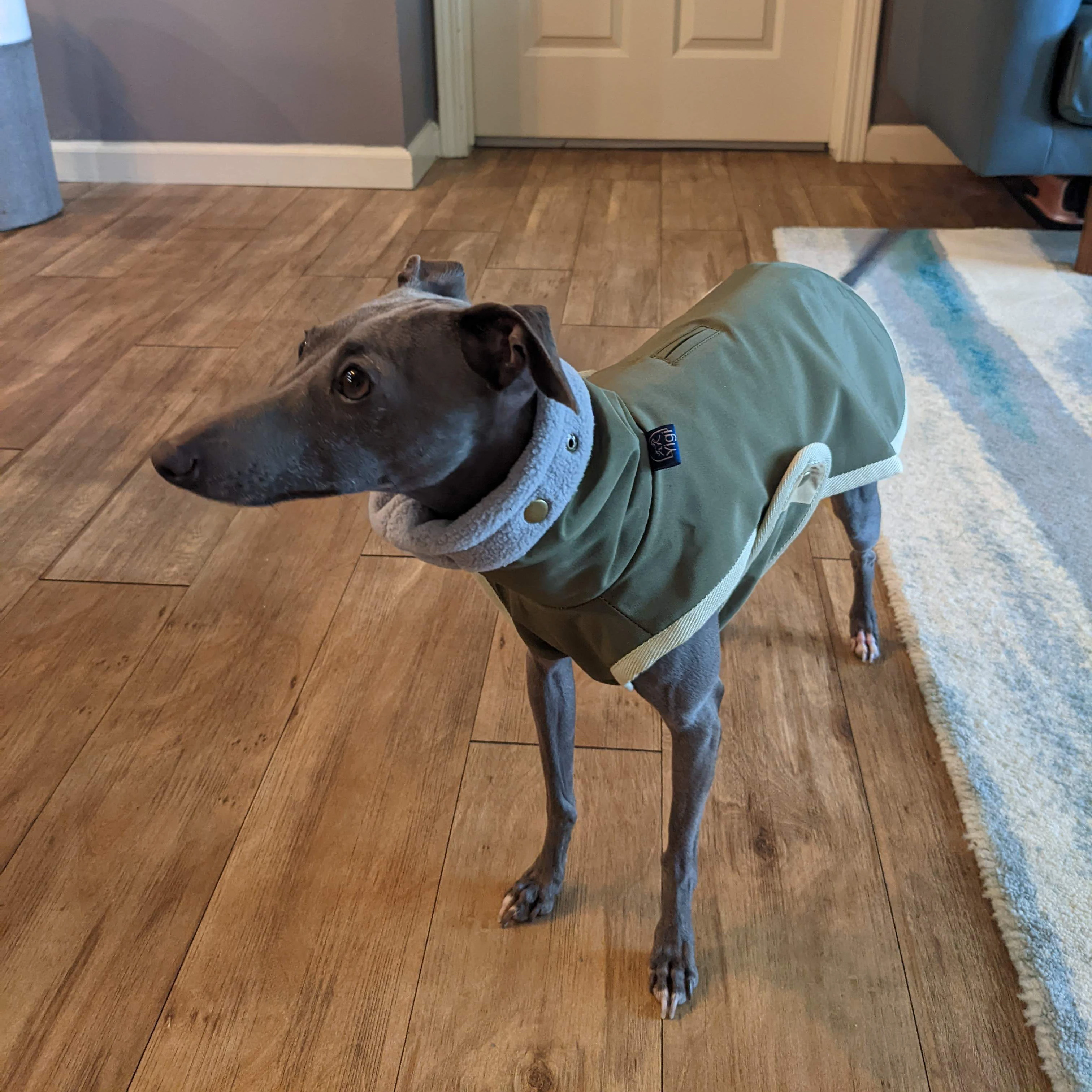 Qiqu Pet Supplies Custom New Designer Luxury Winter Warm Fleece Dog Coat Vest Jacket for Italian Greyhound Whippet Gripper Dogs
