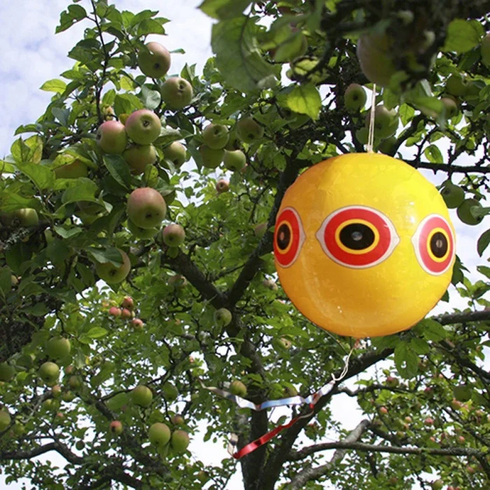 PVC Anti Bird Pest Bird Deterrent Effect Scarer Repellent Eye Balloon Device From the Factory