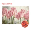 Pink Tulips-Round Drill