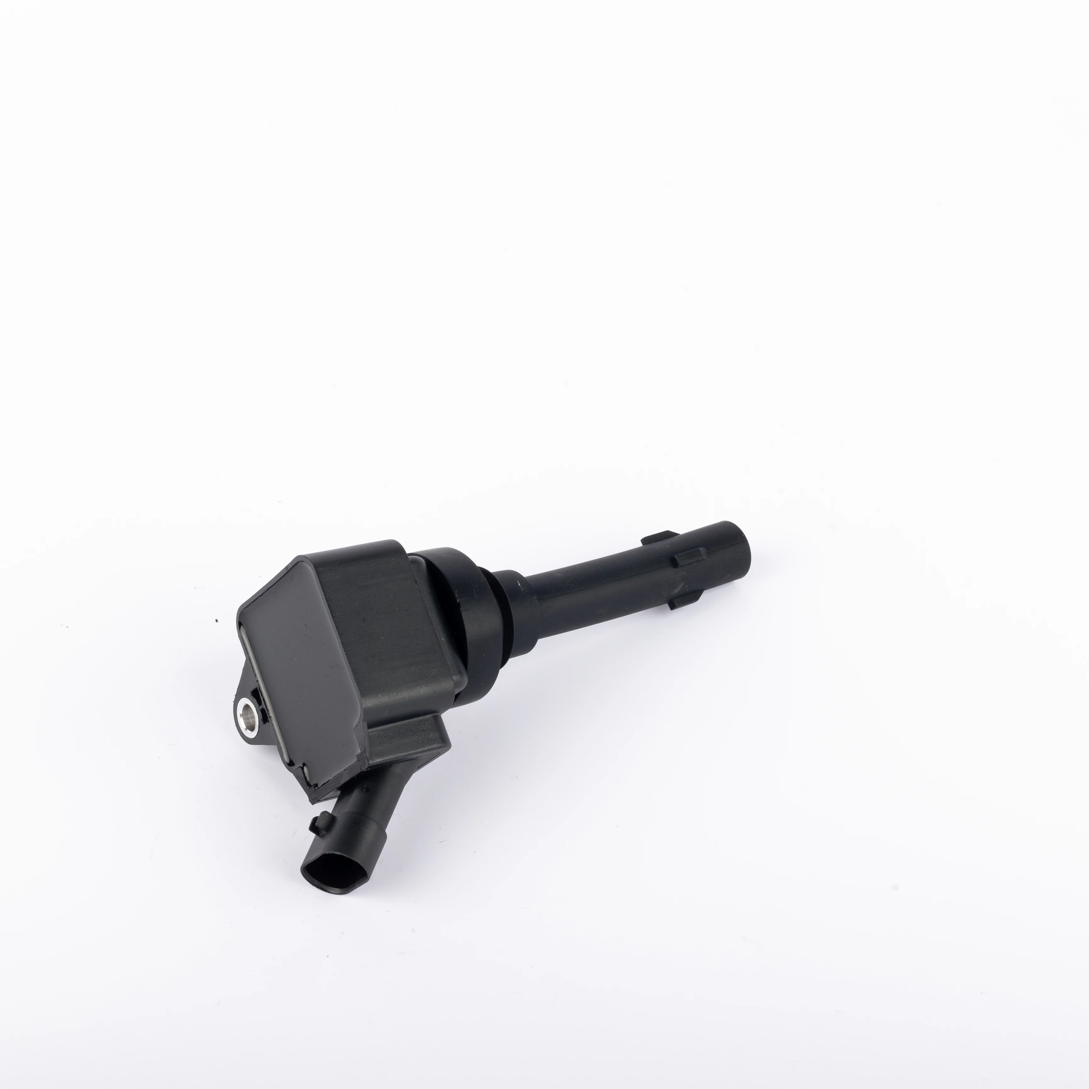 Ignition Coil - F01R00A065