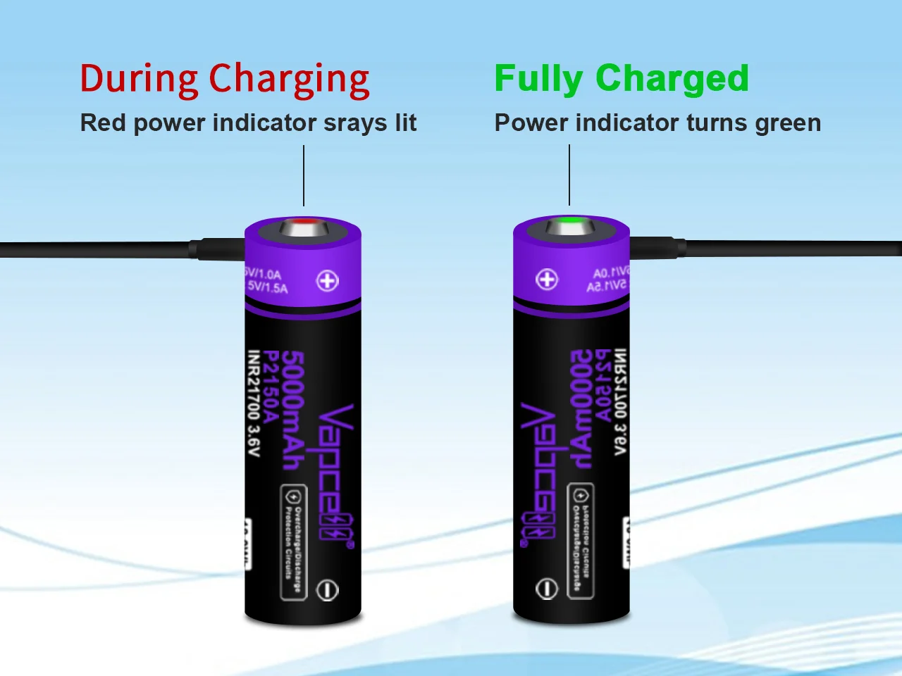 Celle 21700 | Vendita All'ingrosso - Foto 8