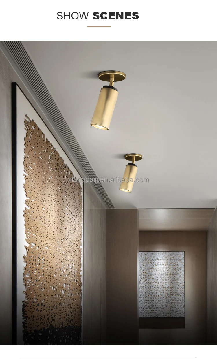 Surface Mounted Downlight Bedroom Brass Ceiling Lights Home Decor