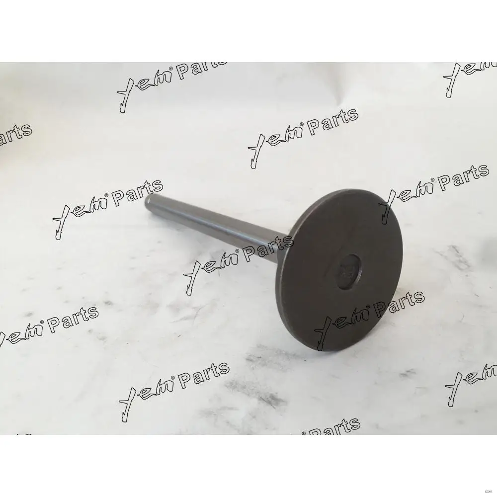 EF750 Engine Valve Exhaust for Hino