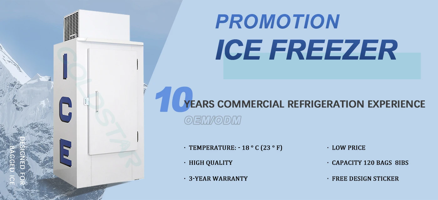 Outdoor Bagged Ice Storage Bin Ice Merchandiser Freezer