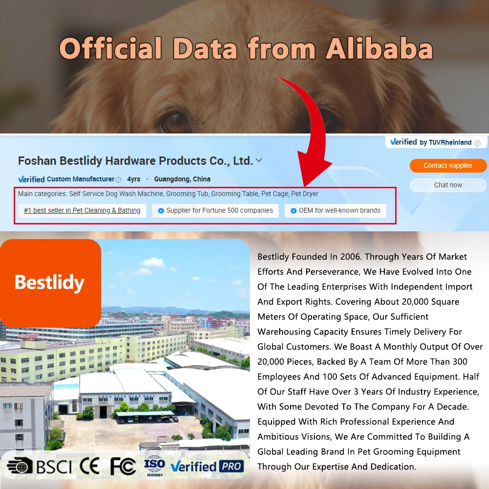 Professional Novelty Designed Stainless Steel 304 Puppy Large Dog Kennel Cage Bank Pet Dog Cages Modular Crates Pet Cage