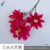 Three-headed Giant Claw Chrysanthemum XH Rose Red