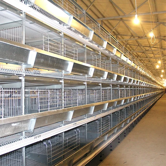 
Layer poultry farm chicken cage egg layer for sale chicken cage with automatic system 