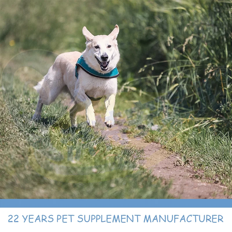 Пренатальная добавка OEM для домашних животных поддержка здоровья простаты натуральная с высоким содержанием белка собак пренатальные