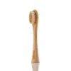 Gold-Boar Bristles