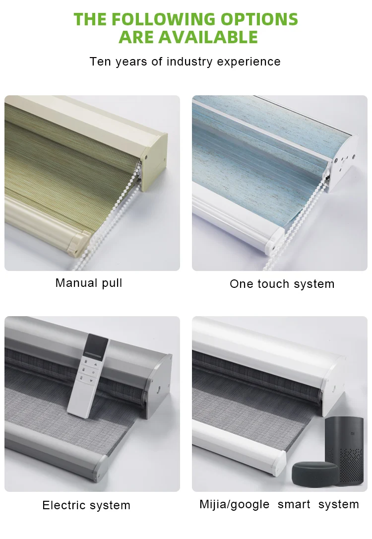 Electric Window smart home Shades voice app remote control automatic roller blind motorized shutter blackout  zebra blinds