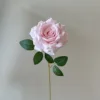 สีชมพู