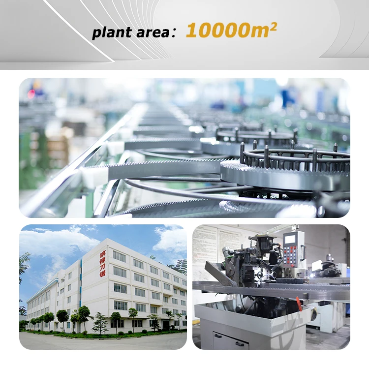 Multiple Use Industrial Tool 6k Circular Knife Welding Tct Alloy  Tipped Teeth Stellite Band Saw Blade for Hardwood Cutting