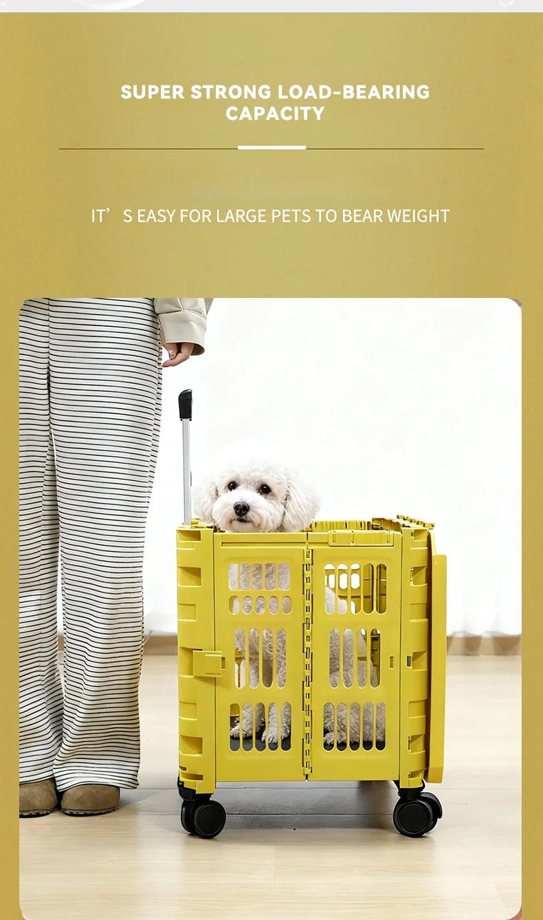 New Outdoor Camping Trolley Collapsible Cart Pet Out Carrying Cart High Quality Cart pp Material Cart supplier
