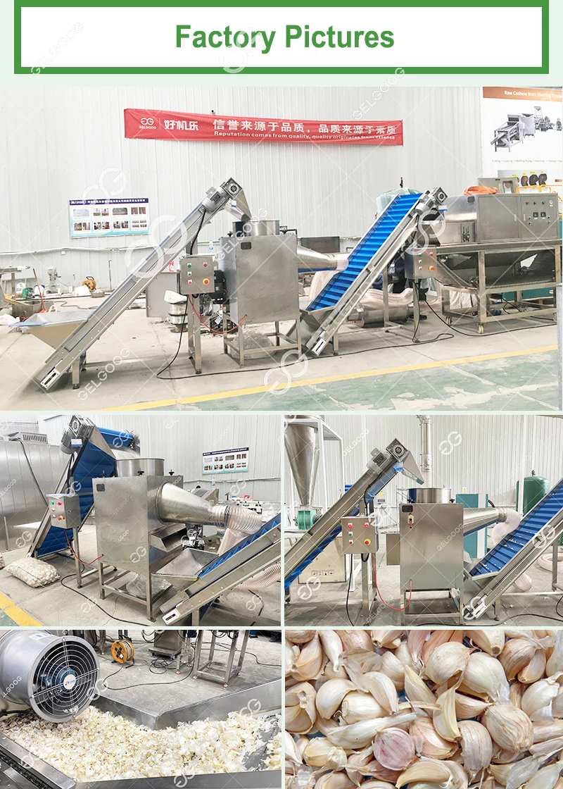 Fruit and Vegetable Optical Colour Sorter Peeled Garlic Color Sorting Machine for Garlic
