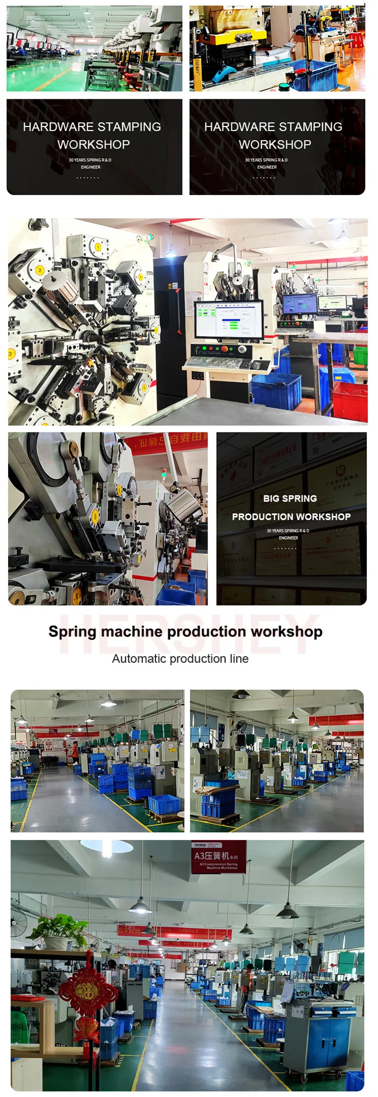 High Quality Stainless Steel Tension Spring Custom Made Extension