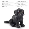 T15060 Petit chien noir 13g