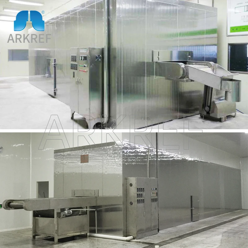 ARKREF Stainless Steel Quick Freezing Small IQF Tunnel Freezer for Food Processing