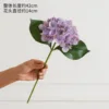 Single-headed hydrangea, old purple