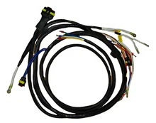 wire harness for auto electrical application
