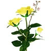 Amarillo