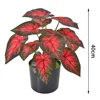 A-40CM สีแดง