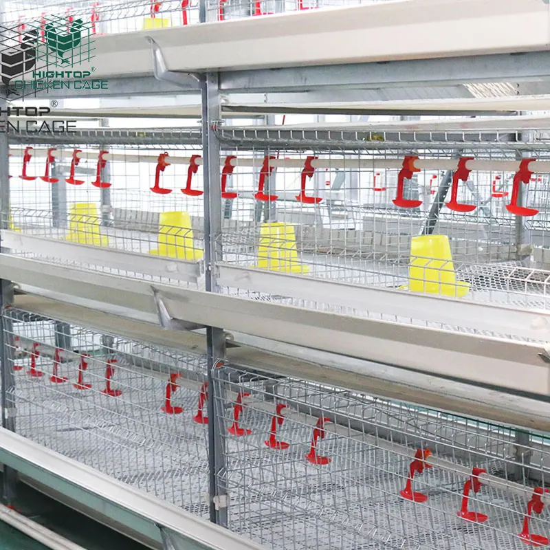 Fully Automatic Battery 3 Tiers 4 Tiers H Type Poultry Farming Broiler Chicken Cage for Broiler Coop