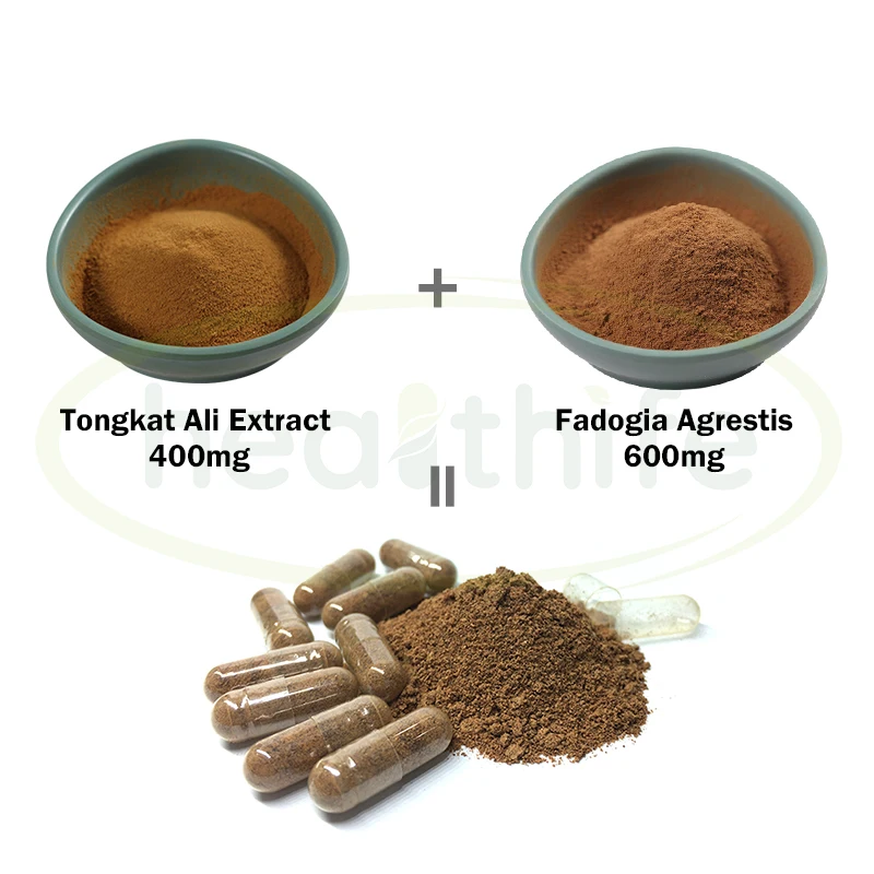 Healthife 1000mg Fadogia Agrestis Tongkat Ali Capsules Buy Fadogia