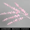 Pink five-pronged eucalyptus branch